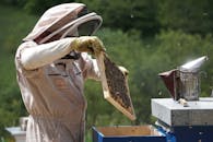 Beekeeping on an Off-Grid Farm